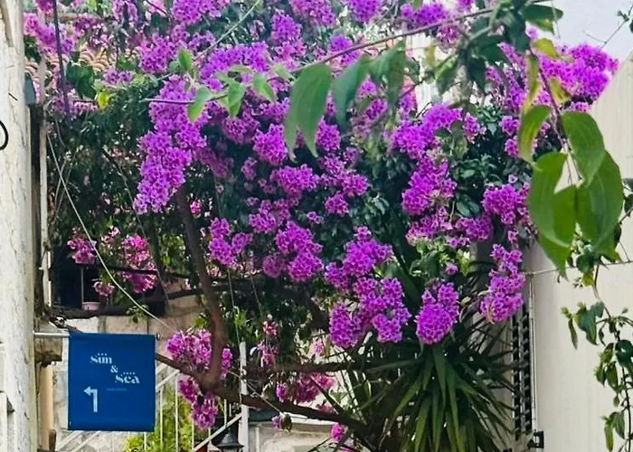 Apartman Sun & Sea Split